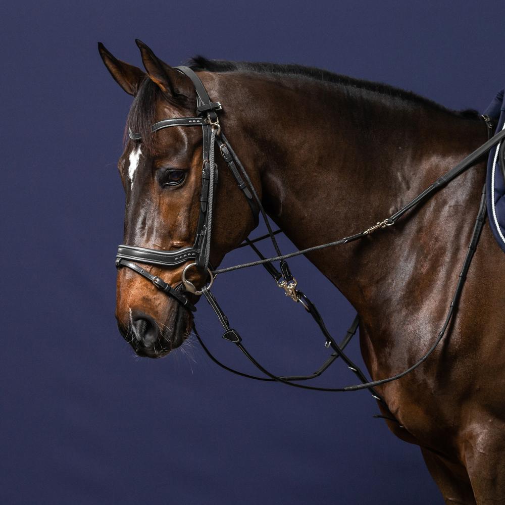 Dy'on Working Collection Gogue Reins - Equiluxe Tack