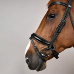 Dy'on Working Collection Large Crank Noseband Bridle with Flash - Equiluxe Tack