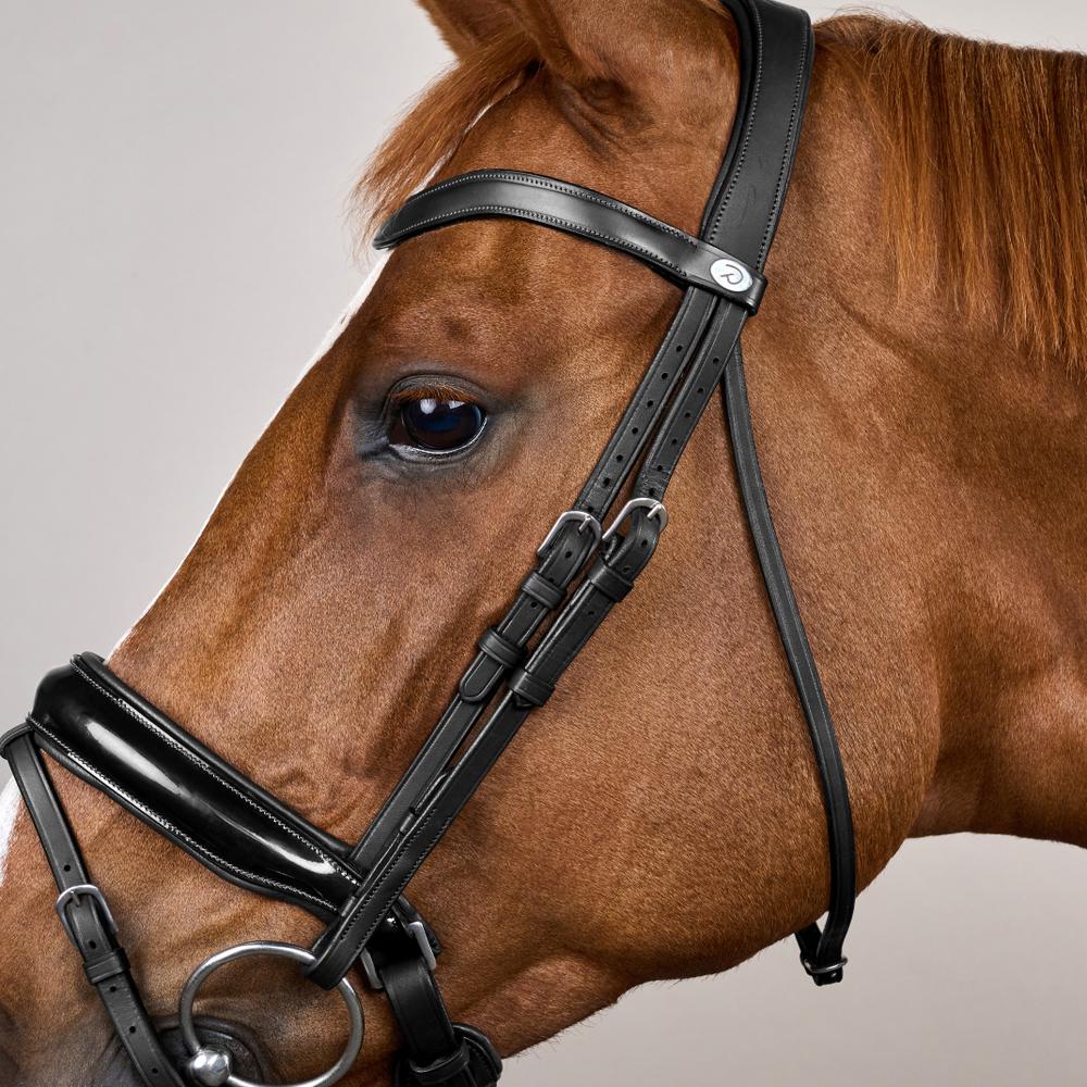 Dy'on Working Collection Large Crank Noseband Bridle with Flash - Equiluxe Tack