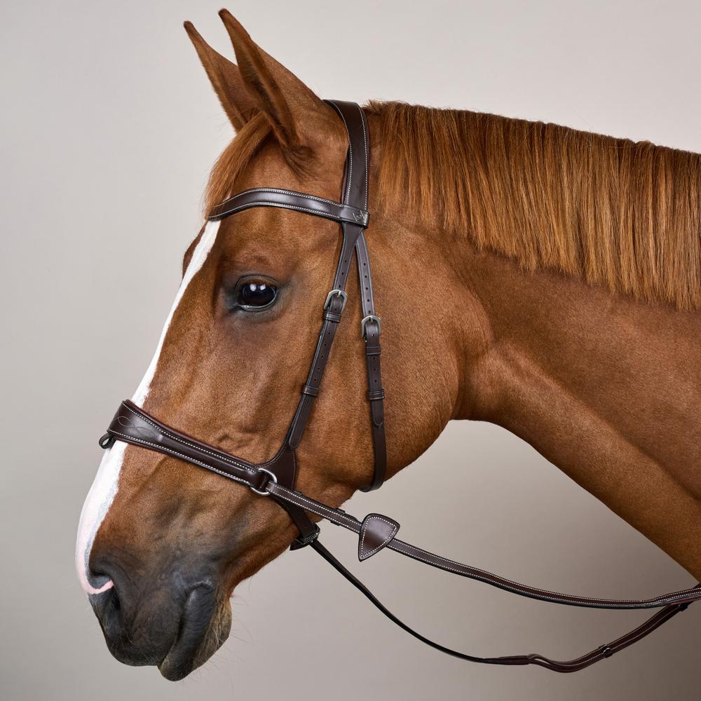 Dy'on Working Collection Motion Bridle - Equiluxe Tack
