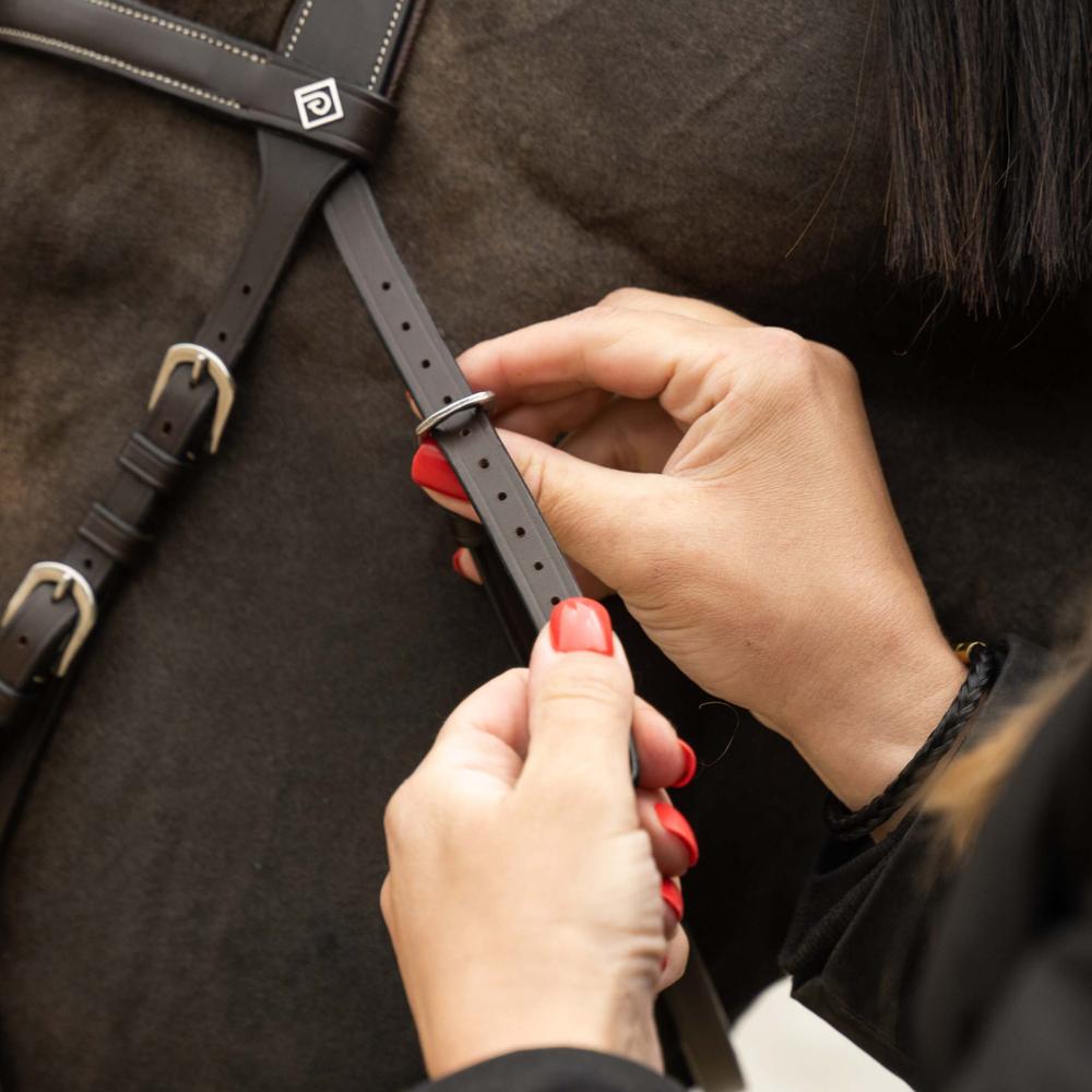 Dy'on Working Collection Motion Bridle - Equiluxe Tack