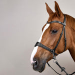 Dy'on Working Collection Motion Bridle - Equiluxe Tack