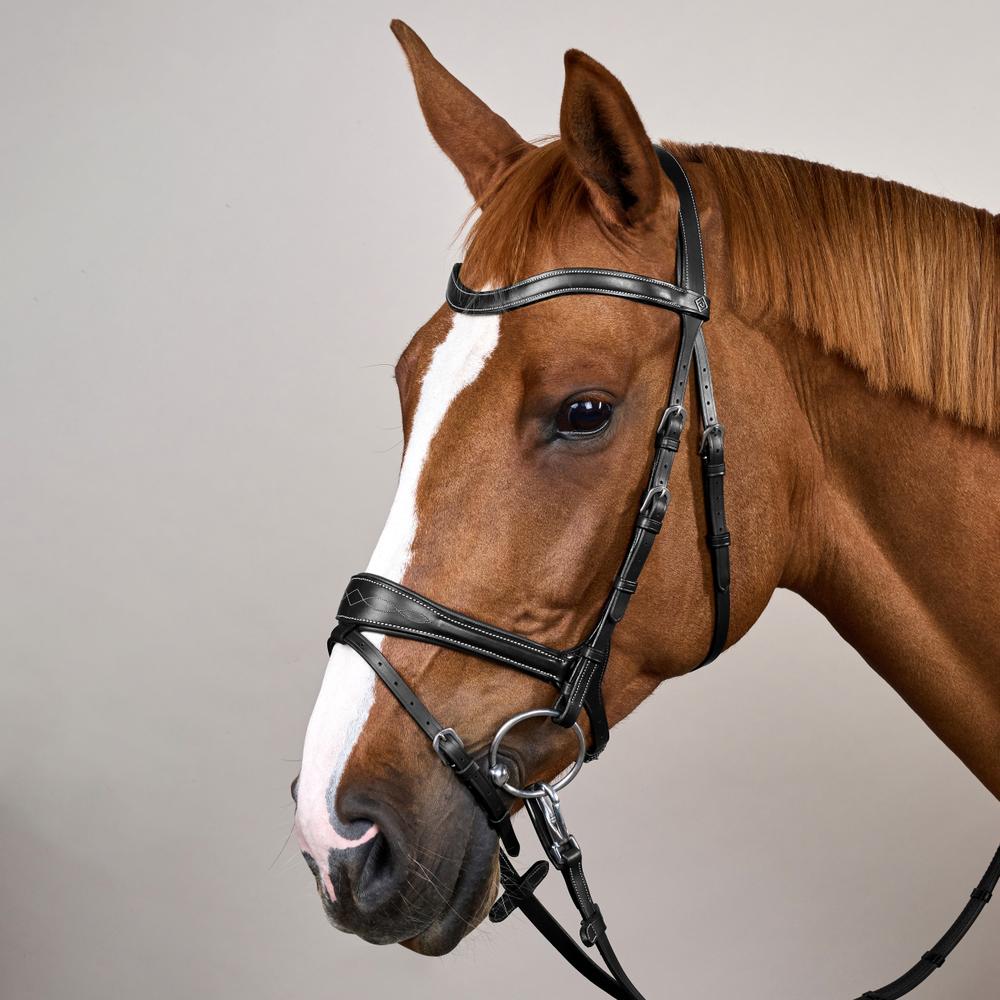 Dy'on Working Collection Motion Bridle - Equiluxe Tack