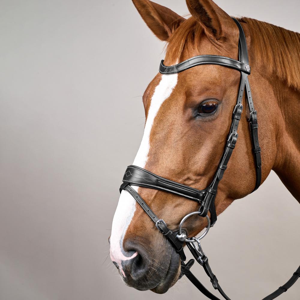 Dy'on Working Collection Motion Bridle - Equiluxe Tack
