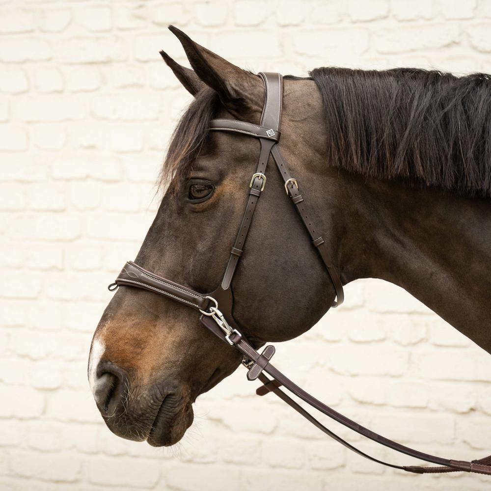 Dy'on Working Collection Motion Bridle - Equiluxe Tack