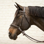Dy'on Working Collection Motion Bridle - Equiluxe Tack
