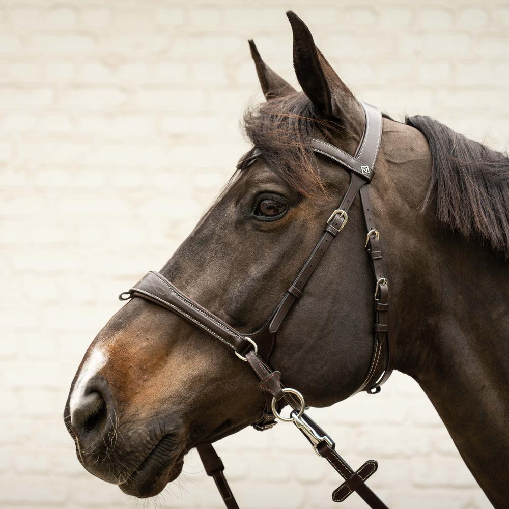 Dy'on Working Collection Motion Bridle - Equiluxe Tack
