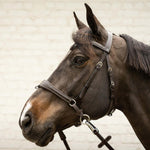 Dy'on Working Collection Motion Bridle - Equiluxe Tack