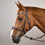 Dy'on Working Collection Motion Bridle - Equiluxe Tack