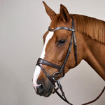 Dy'on Working Collection Motion Bridle - Equiluxe Tack