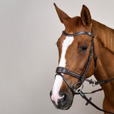 Dy'on Working Collection Motion Bridle - Equiluxe Tack