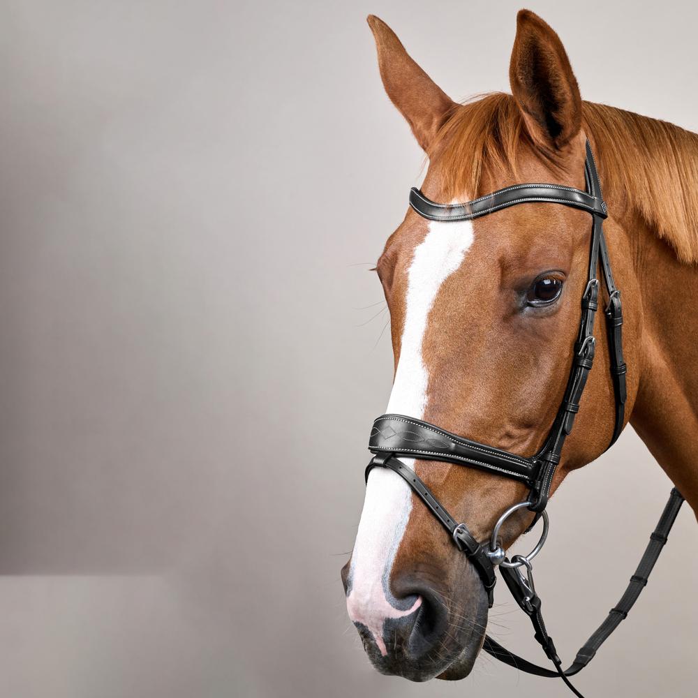 Dy'on Working Collection Motion Bridle - Equiluxe Tack