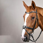 Dy'on Working Collection Motion Bridle - Equiluxe Tack
