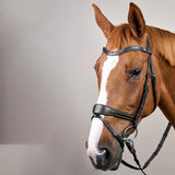 Dy'on Working Collection Motion Bridle - Equiluxe Tack
