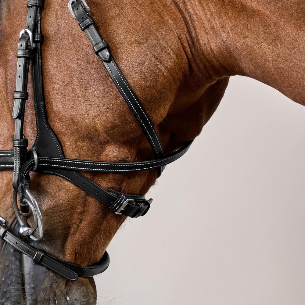 Dy'on Working Collection Motion Bridle - Equiluxe Tack