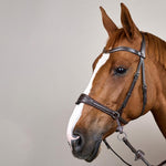 Dy'on Working Collection Motion Bridle - Equiluxe Tack