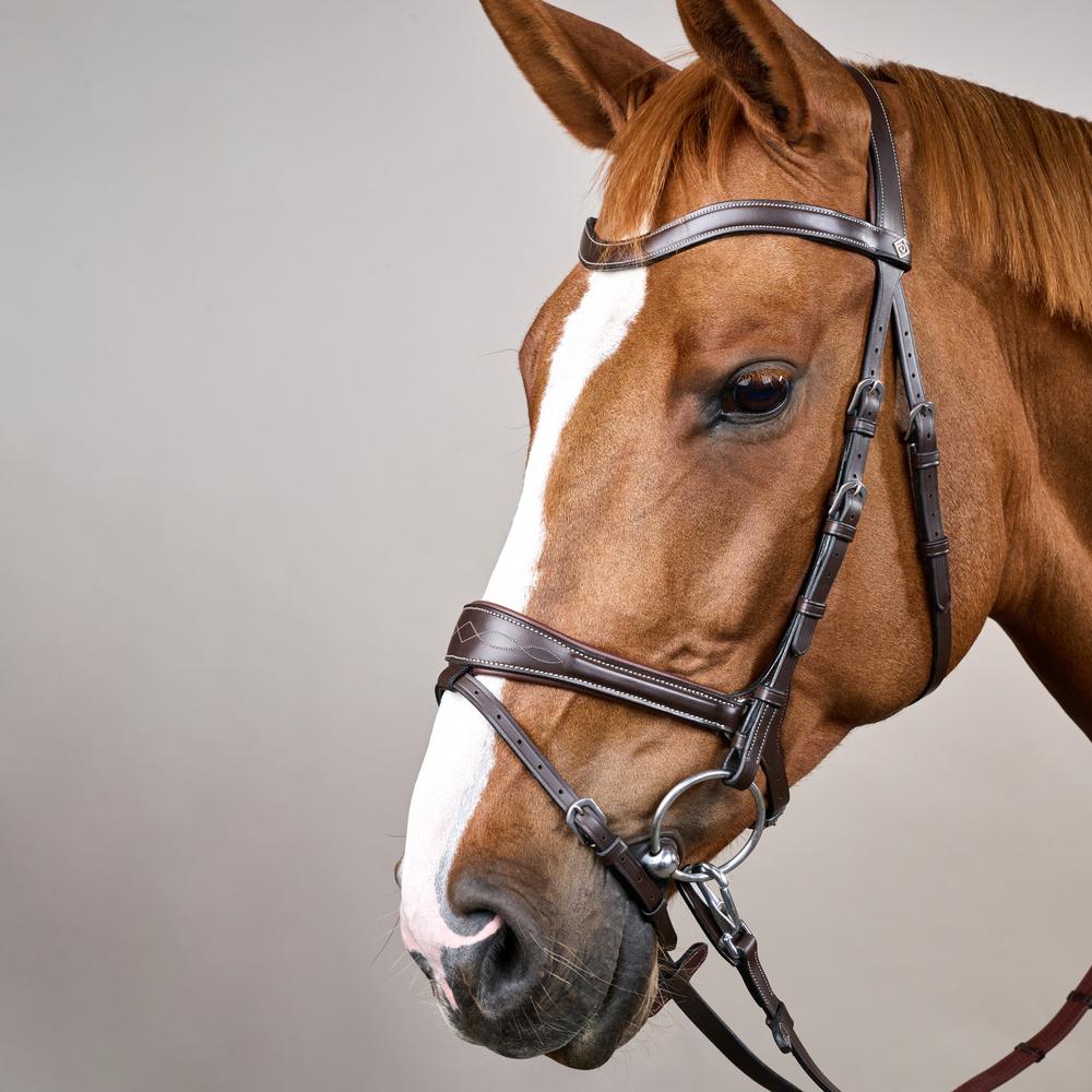 Dy'on Working Collection Motion Bridle - Equiluxe Tack