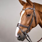 Dy'on Working Collection Motion Bridle - Equiluxe Tack