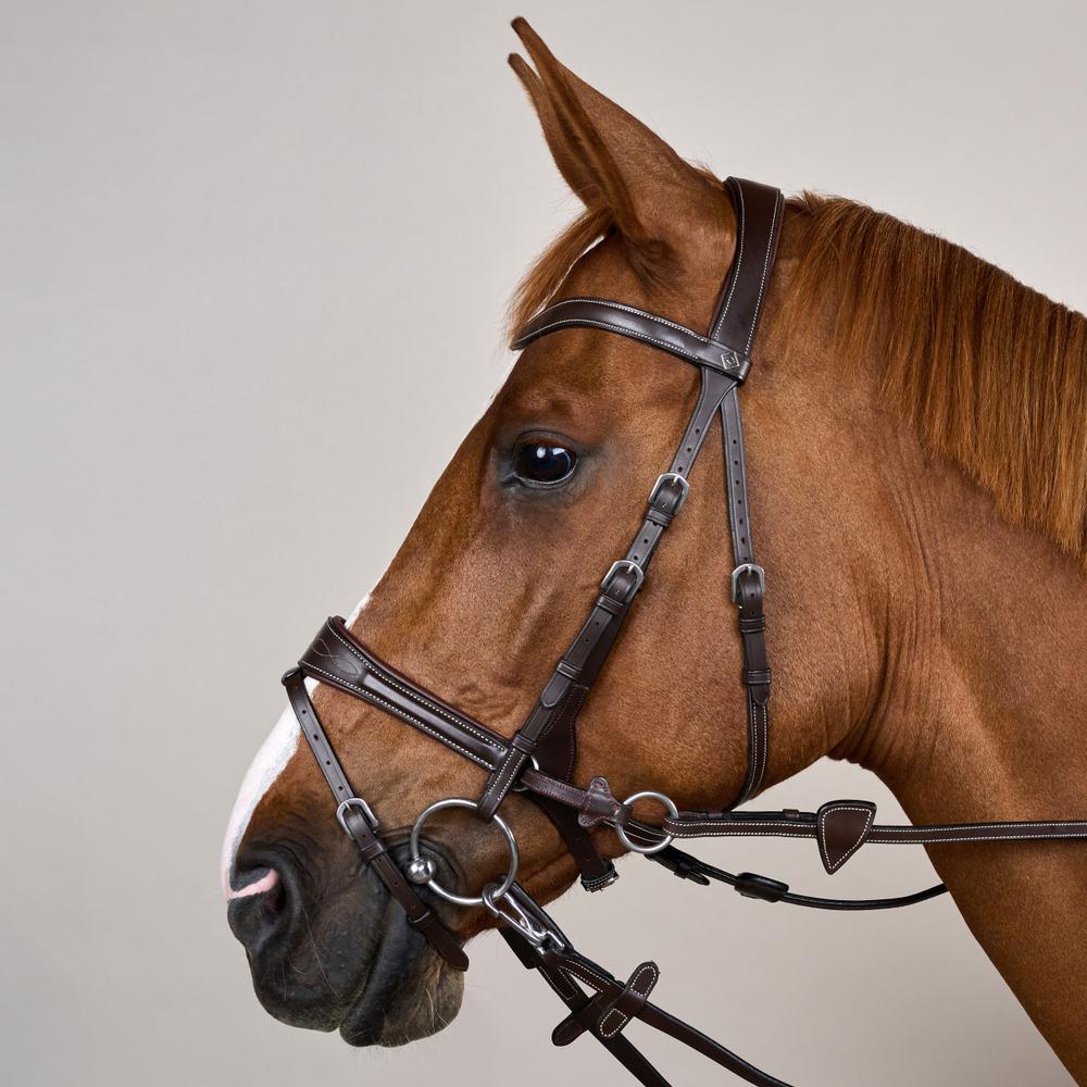 Dy'on Working Collection Motion Bridle - Equiluxe Tack