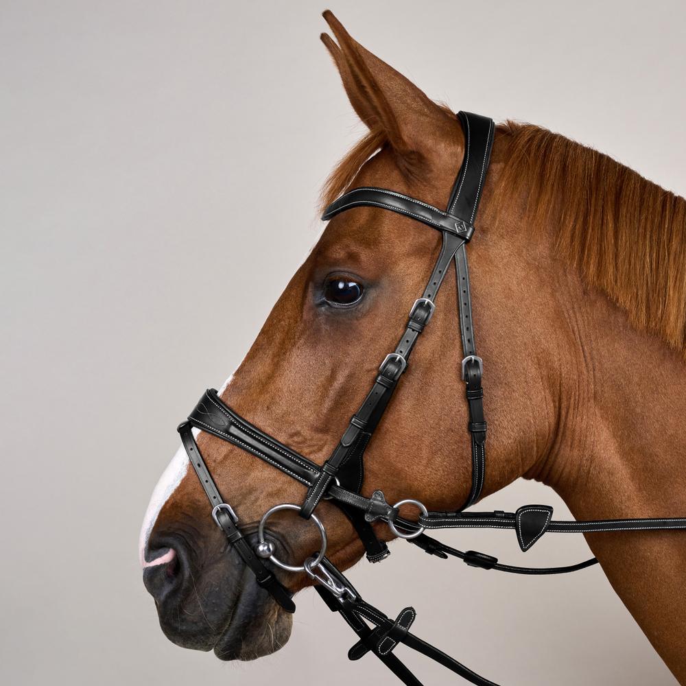 Dy'on Working Collection Motion Bridle - Equiluxe Tack