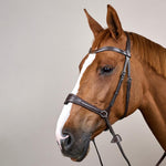 Dy'on Working Collection Motion Bridle - Equiluxe Tack