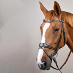 Dy'on Working Collection Motion Bridle - Equiluxe Tack