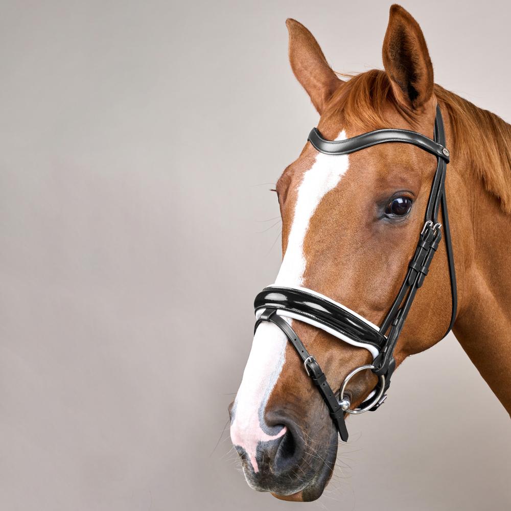 Dy'on Working Collection Patent Large Crank Noseband Bridle - Equiluxe Tack
