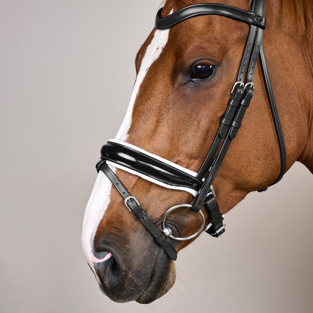 Dy'on Working Collection Patent Large Crank Noseband Bridle - Equiluxe Tack