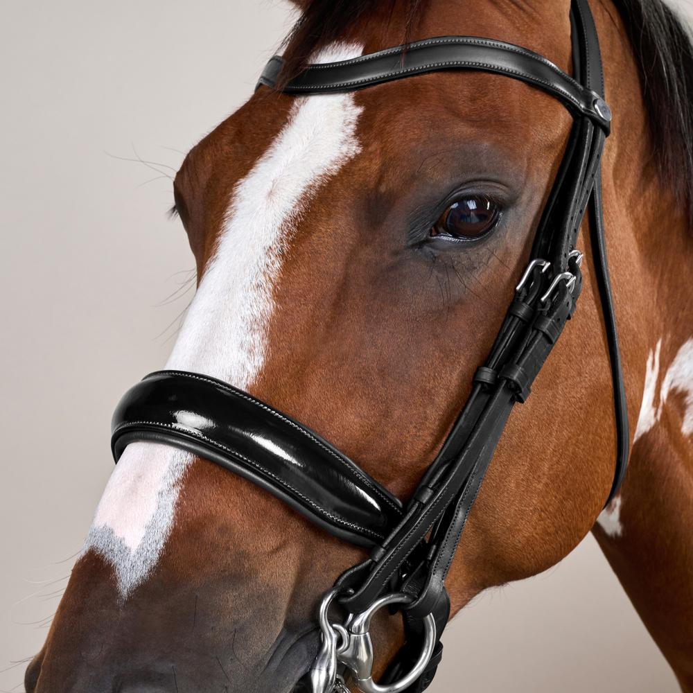 Dy'on Working Collection Patent Large Crank Noseband Double Bridle - Equiluxe Tack