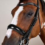 Dy'on Working Collection Patent Large Crank Noseband Double Bridle - Equiluxe Tack