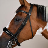Dy'on Working Collection Patent Large Crank Noseband Double Bridle - Equiluxe Tack