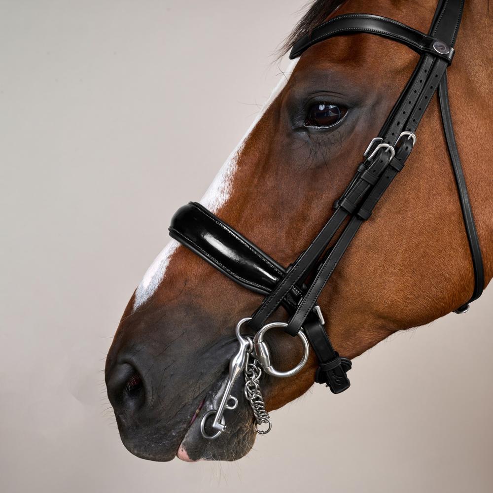 Dy'on Working Collection Patent Large Crank Noseband Double Bridle - Equiluxe Tack