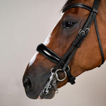 Dy'on Working Collection Patent Large Crank Noseband Double Bridle - Equiluxe Tack