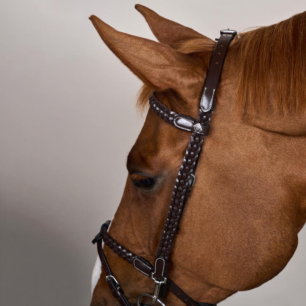 Dy'on Working Collection Plaited Training Bridle - Equiluxe Tack