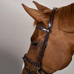 Dy'on Working Collection Plaited Training Bridle - Equiluxe Tack