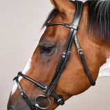 Dy'on Working Collection Round Leather Bridle - Equiluxe Tack