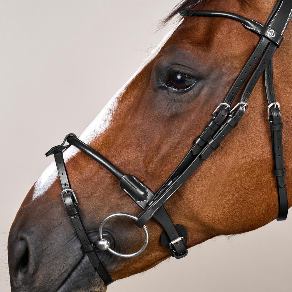 Dy'on Working Collection Round Leather Bridle - Equiluxe Tack