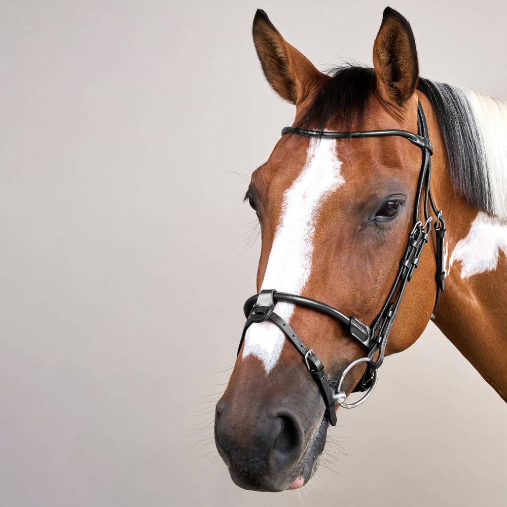 Dy'on Working Collection Round Leather Bridle - Equiluxe Tack
