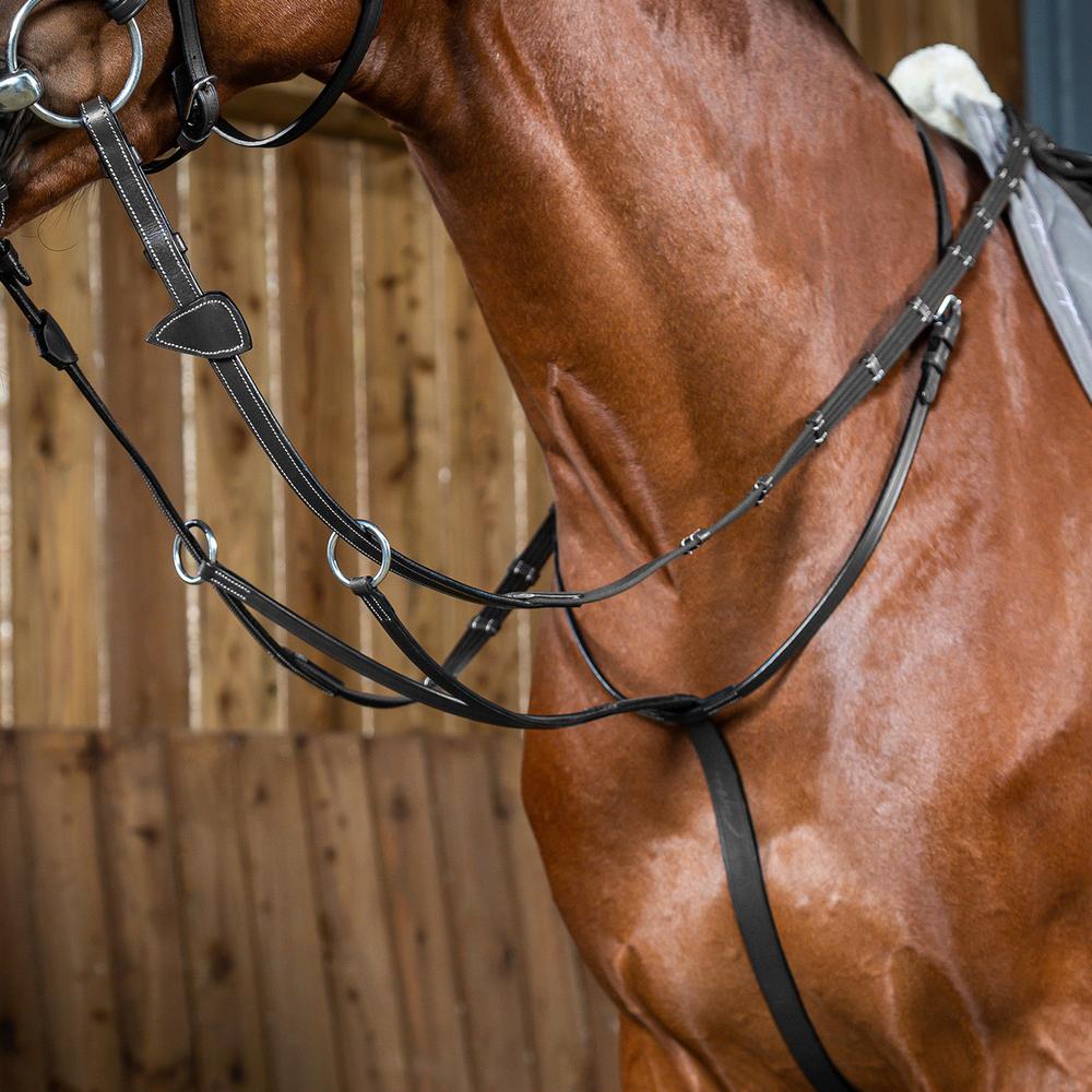 Dy'on Working Collection Running Martingale - Equiluxe Tack