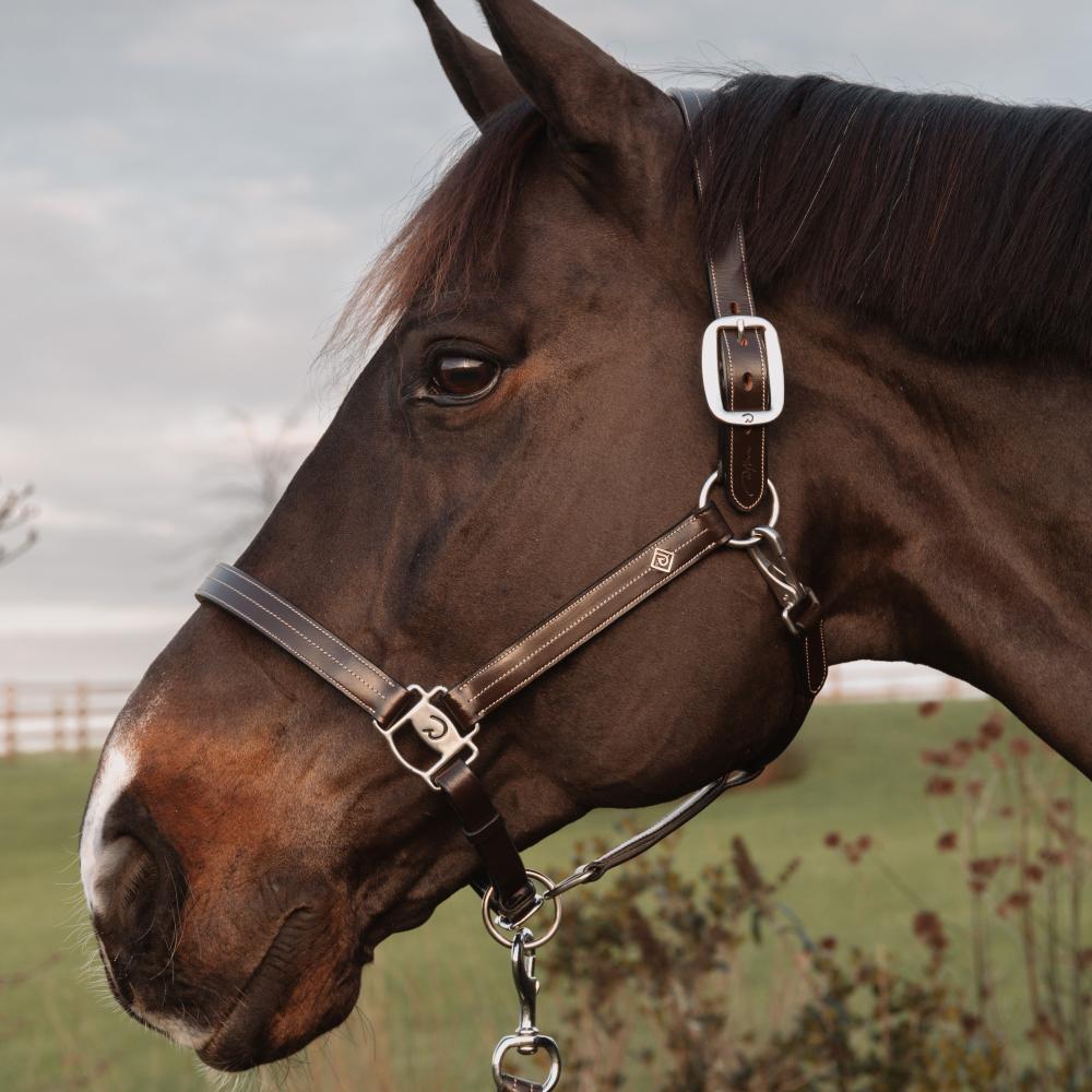 Dy'on Working Collection US Halter - Equiluxe Tack
