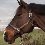 Dy'on Working Collection US Halter - Equiluxe Tack