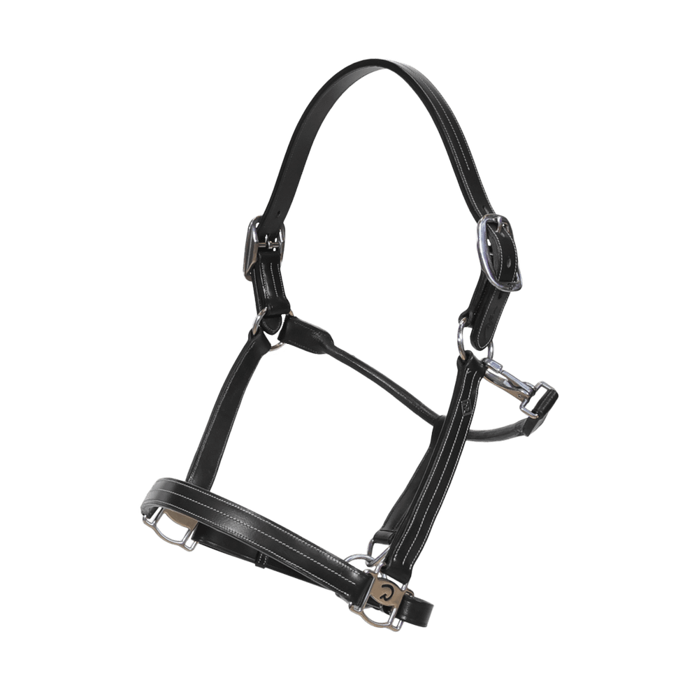 Dy'on Working Collection US Halter - Equiluxe Tack