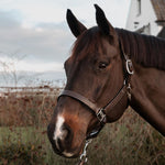 Dy'on Working Collection US Halter - Equiluxe Tack