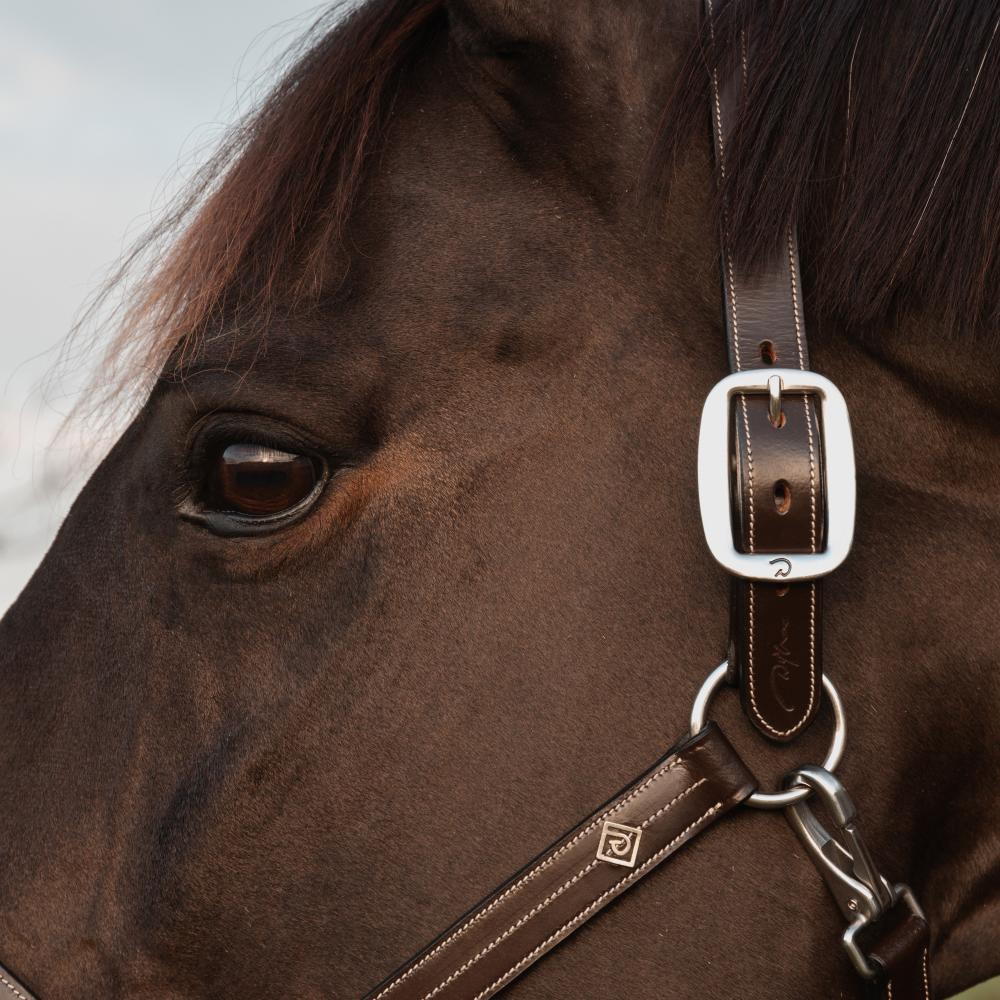 Dy'on Working Collection US Halter - Equiluxe Tack