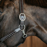 Dy'on Working Plaited Halter - Equiluxe Tack