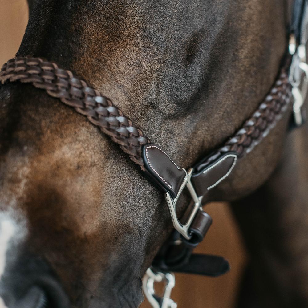 Dy'on Working Plaited Halter - Equiluxe Tack