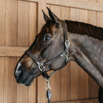 Dy'on Working Plaited Halter - Equiluxe Tack