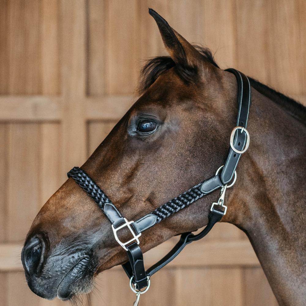 Dy'on Working Plaited Halter - Equiluxe Tack