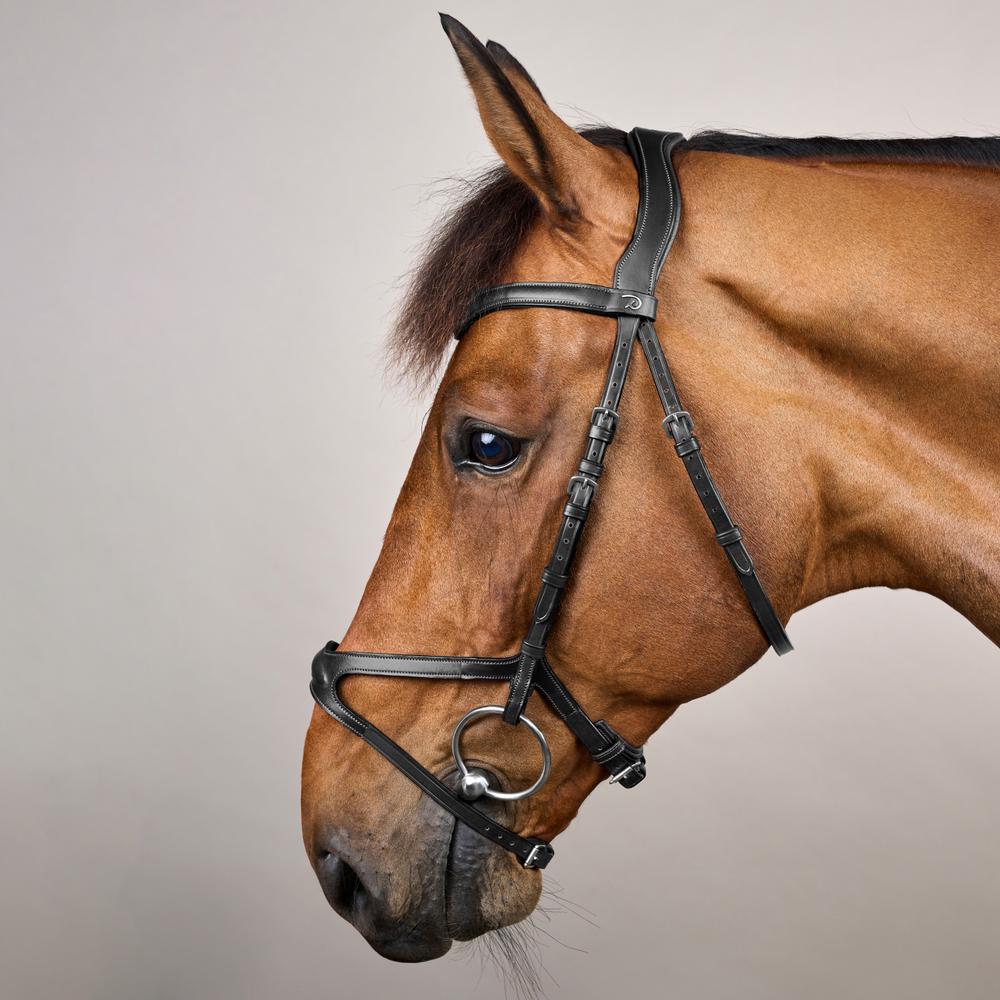 Dy'on X-Fit Bridle New English Collection - Equiluxe Tack