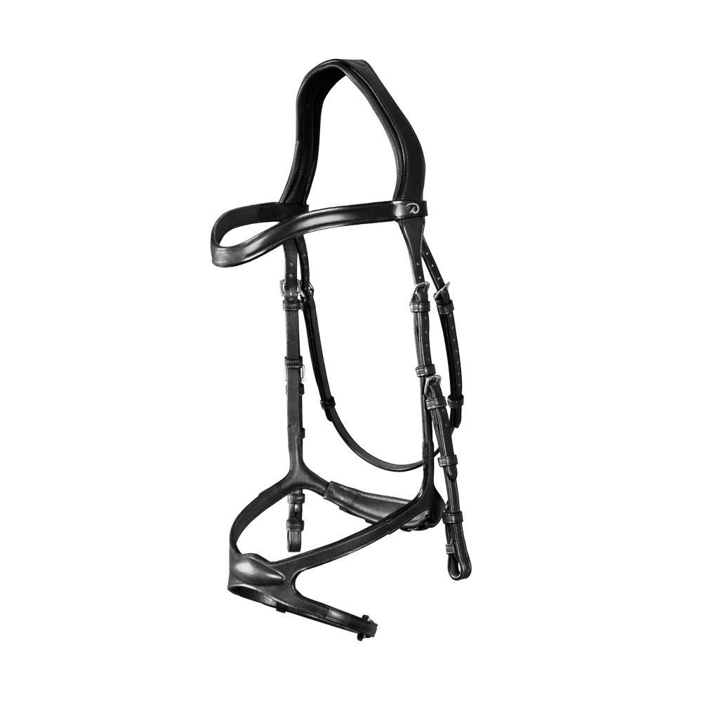 Dy'on X-Fit Bridle New English Collection - Equiluxe Tack